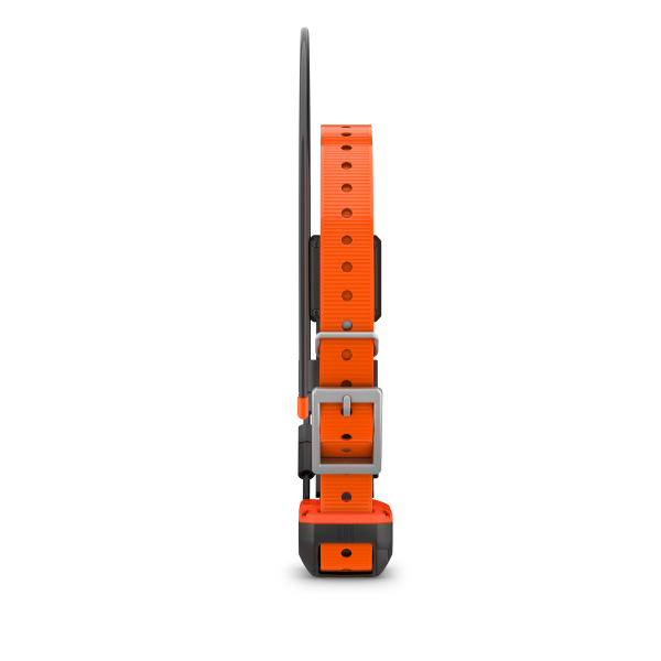 Garmin Alpha® T 20 Κολάρο Σκύλου - Image 4