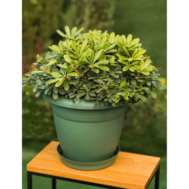 Γλάστρα Στρόγγυλη Πλαστική Μπορντώ 24x20cm 4.2L Micplast - 11017909 - Image 2
