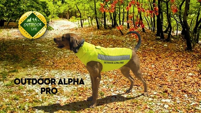 Outdoor Alpha Pro T870 Γιλέκο Προστασίας Σκύλου Κίτρινο 70cm - Image 7