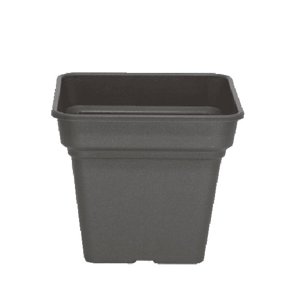 Γλάστρα Τετράγωνη Ανθρακί 20 Daiquiri Micplast - 11142003