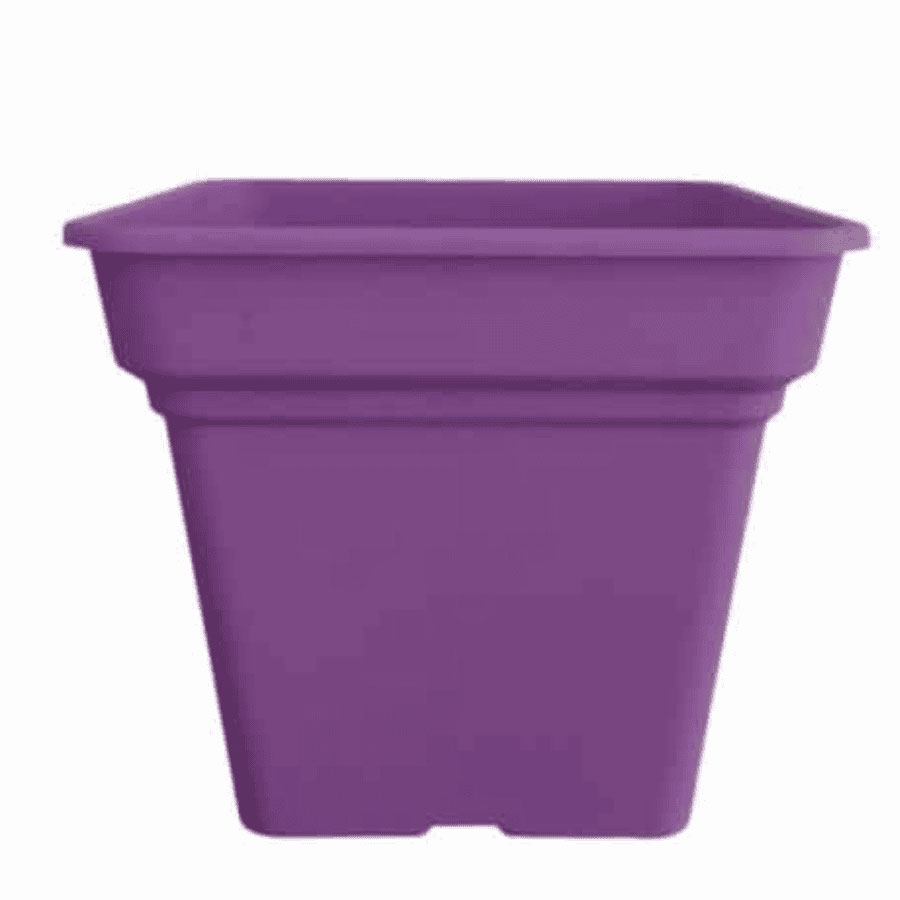 Γλάστρα Τετράγωνη Μωβ 20 Daiquiri Micplast - 11142008