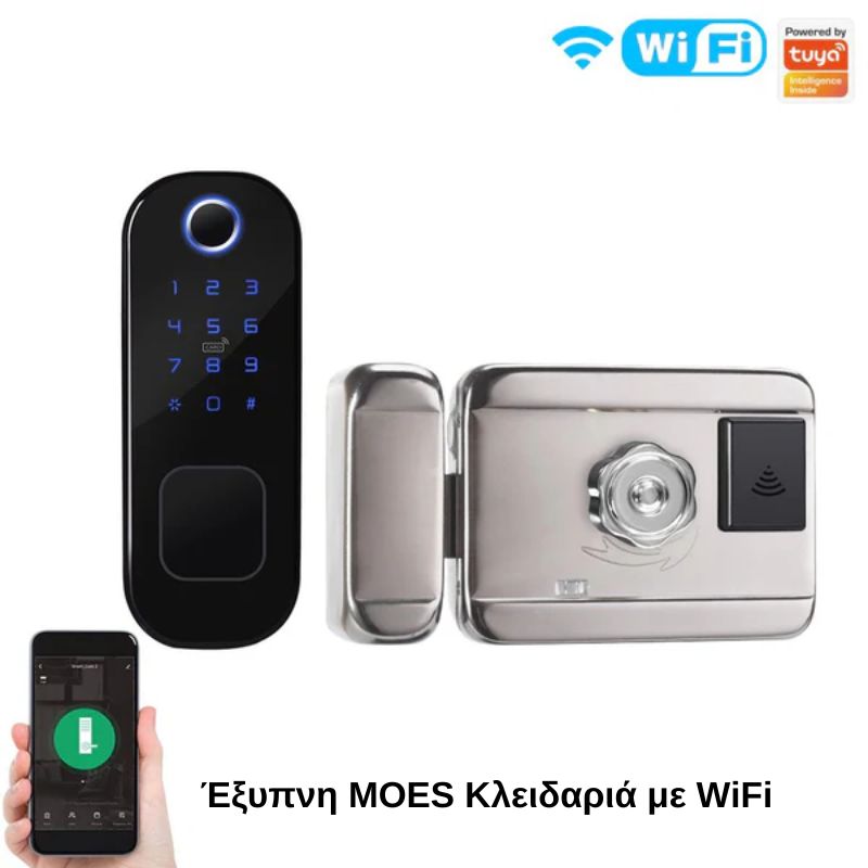 Moes WDL-R2-2 Έξυπνη Κλειδαριά WiFi Συρόμενων Θυρών για όλες τις πόρτες (Ξεκλείδωμα με: Fingerprint/Pin/Κλειδί/Εφαρμογή/Κάρτα)